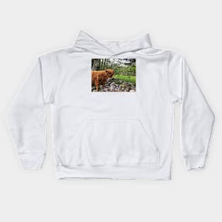 Scottish Highland Cattle Cow 2402 Kids Hoodie